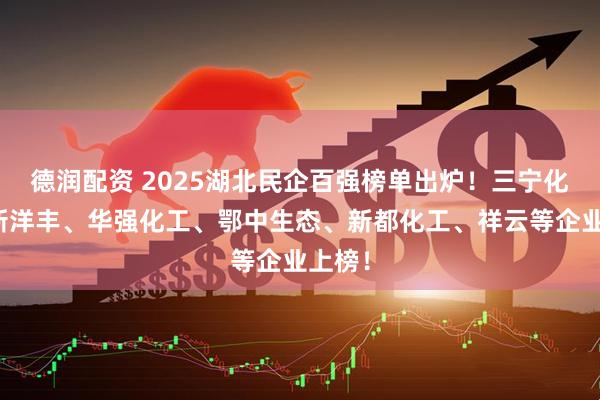 德润配资 2025湖北民企百强榜单出炉！三宁化工、新洋丰、华强化工、鄂中生态、新都化工、祥云等企业上榜！